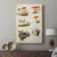 Mushroom Species X - Gallery sur mesure-1660109600