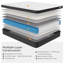 Bosten Brayden Studio Pocket Sprung Mattress-1358906243