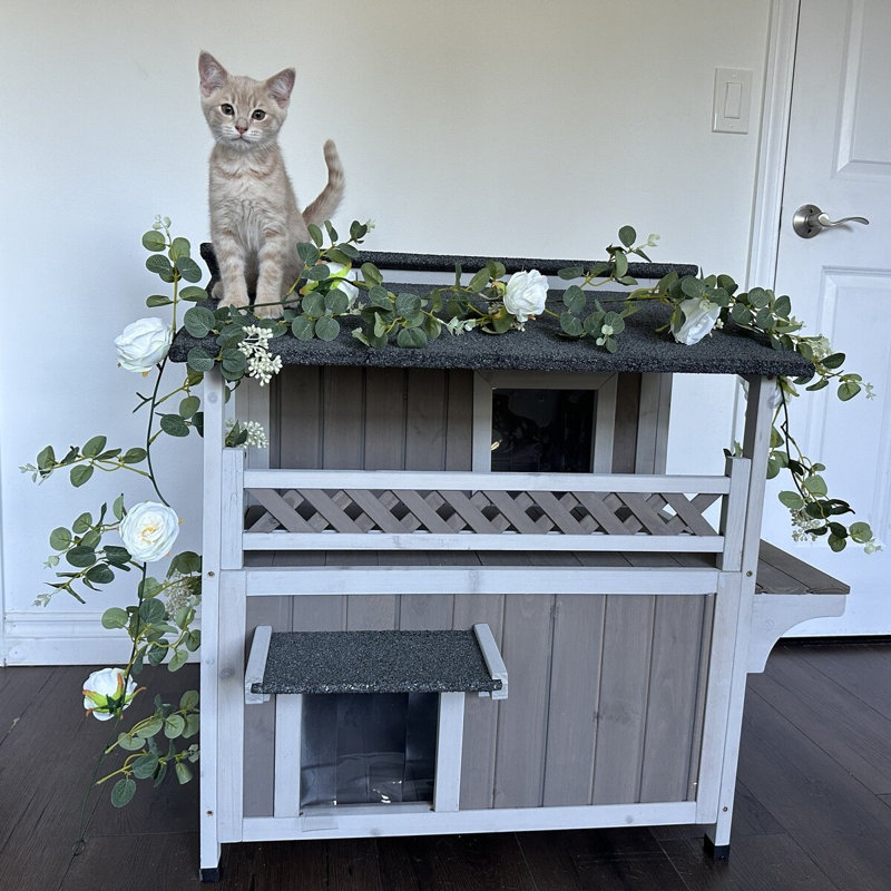 2-Story Outdoor Cat House with Split-Level Openable Asphalt Roof, Fir Wood Cat Condo with Balcony & Escape Door
