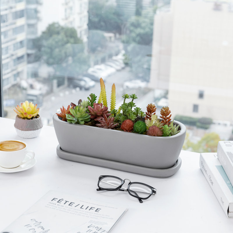 Oval Concrete Decorative Flower Pot Planter