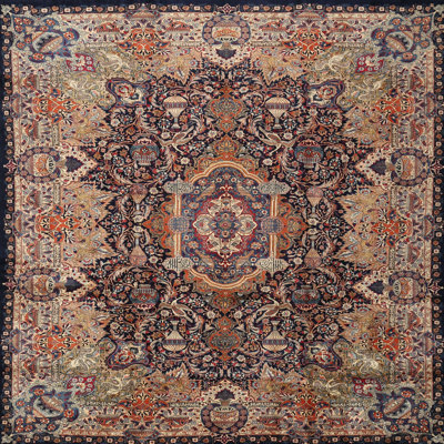 Oriental Indoor Rug