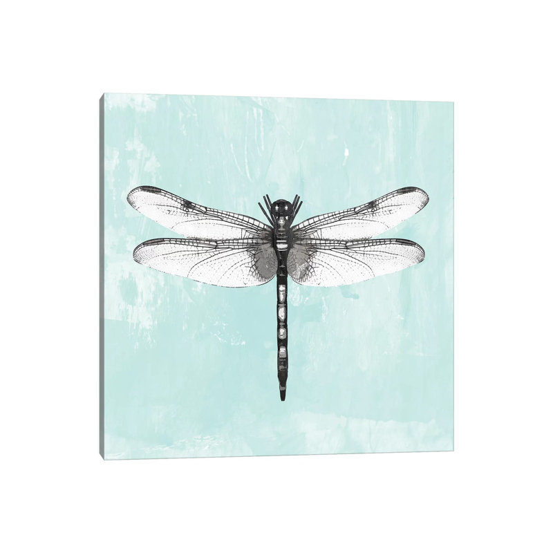 Dragonfly I - Wrapped Canvas Print, 30.48 cm H x 30.48 cm W