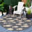 Madhu Performance Indoor/Outdoor Area Rug-1785032946