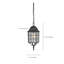 Lanterne suspendue d'extérieur à 1 ampoule H 15,75 po Gillian-30970211