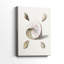 Pastel Knorr Shells II - Cavas enveloppés de galerie-956919570