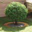 Tree Ring Decorative Garden Modern Protector Outdoor Ornament Base Home-700944142