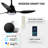 42" Smart Ceiling Fan With Lights Remote