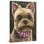 Yorkie Training Camp 1 Piece Wrapped Canvas Painting-1620766125