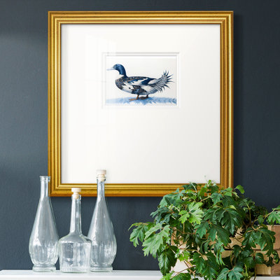 " Mallard Blue II "