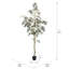 Arbre en pot Winnetka-27703840
