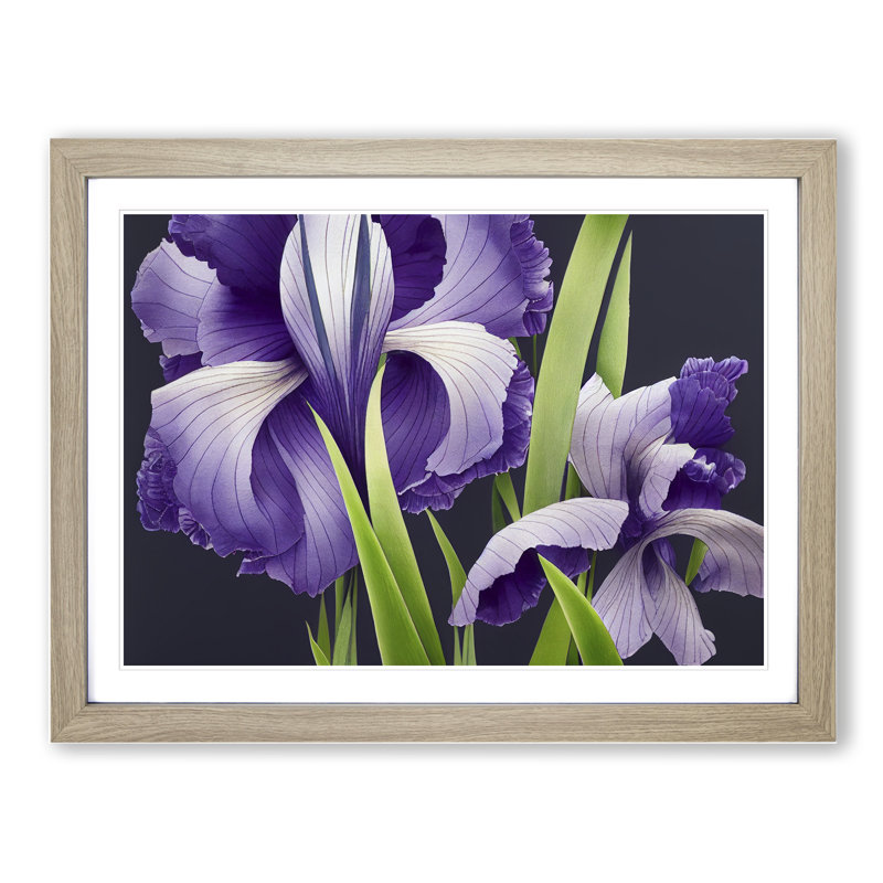 Engaging Iris Flowers 1 Piece Single Picture Frame Wall Art, 46cm H x 64cm W x 2cm D, Oak Framed