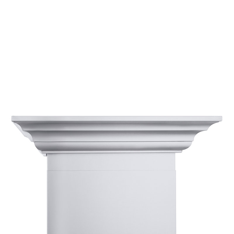 48" Professional Ducted Wall Mount Range Hood in Stainless Steel