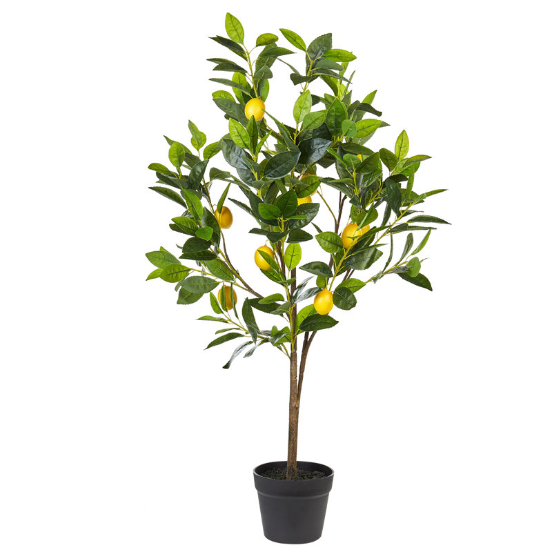 Faux Lemon Tree in Planter, 105cm H x 45cm W x 45cm D