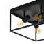Dunlap Flush Mount