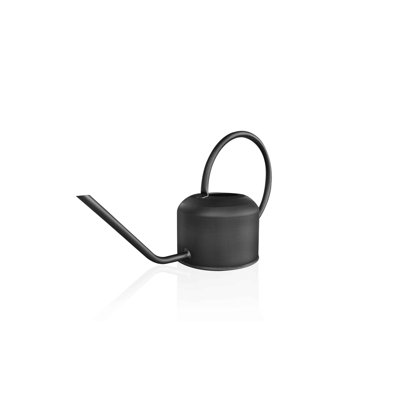 Delyth Watering Can