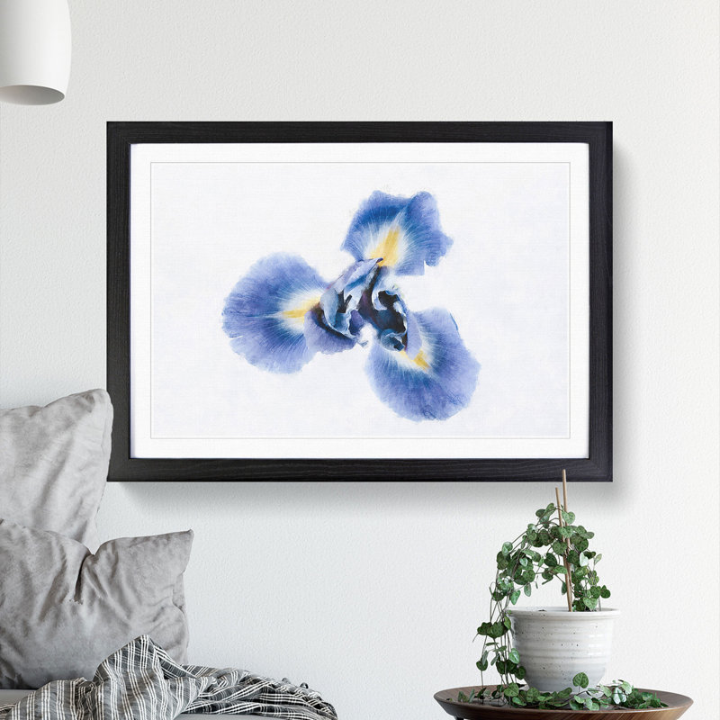 An Iris Flower In Blue - Picture Frame Painting Print, Black, 62cm H x 87cm W x 2cm D