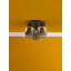 Alyceia Glass Flush Mount