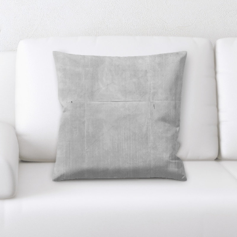 Coussin décoratif Go Pro