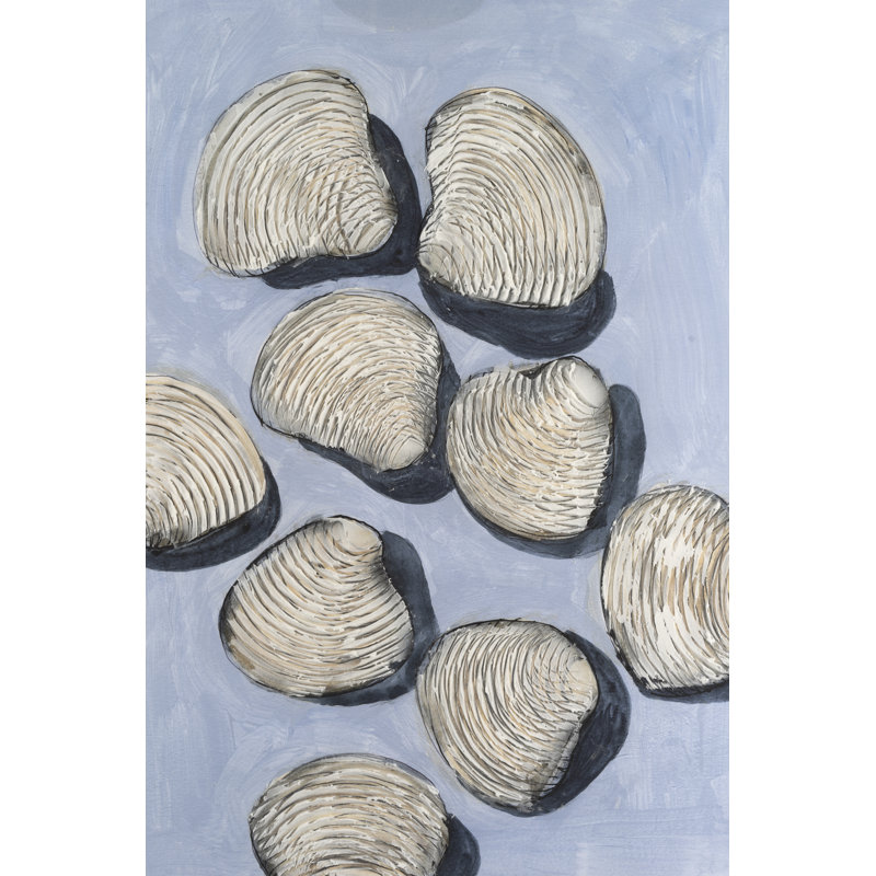 Tayan Embellished Seashells IV by Michael Willett - Wrapped Canvas Print, 46 cm H x 30 cm W