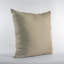 Coussin Plutus-62524222-62524238