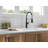 Delta Theodora Pro Commercial Pull Down Sprayer Kitchen Sink Faucet, add ShieldSpray to spray options-105189201