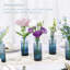 Ensemble de 12 vases en verre Bud-207987494