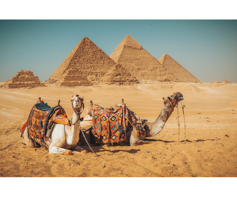Wrapped Canvas Print, 50.8 cm H x 76.2 cm W