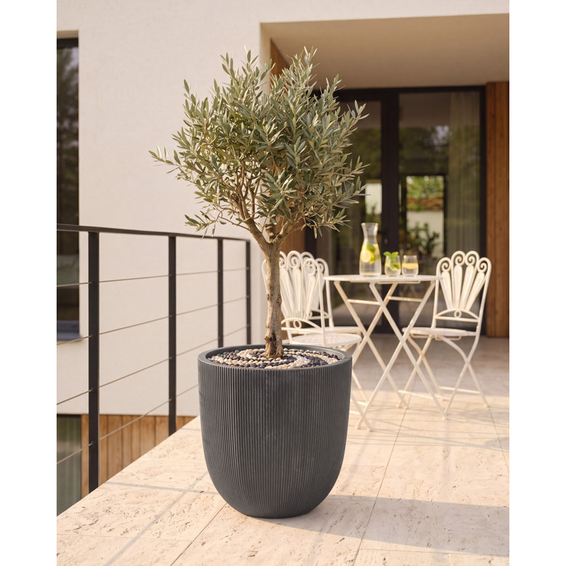 Pot Planter