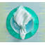 Radiant Napkin Ring-61918160
