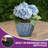 Bohemian Large Round Planters, 12.25" Decorative Pot Planters, Flower Pots Indoor Outdoor