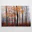 «Lost in the Forest», reproduction de photo sur toile tendue-26230587