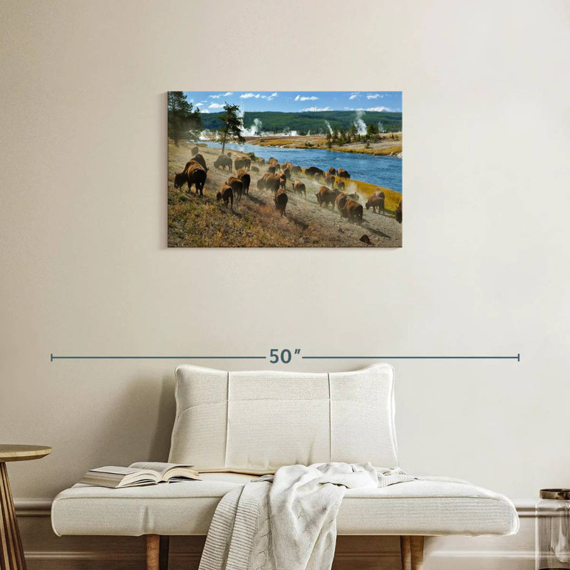 Troupeau de bisons Brampt, H 20 po x l 30 po