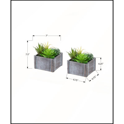 Ensemble de plantes succulentes artificielles, 20 cm de hauteur, dans des pots en bois gris pour une décoration de table moderne et contemporaine
