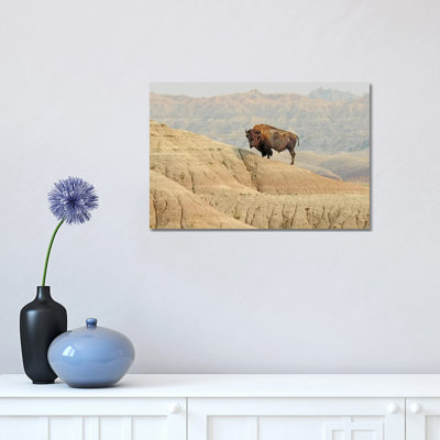 On The Ledge by Brian Wolf - Wrapped Canvas Print