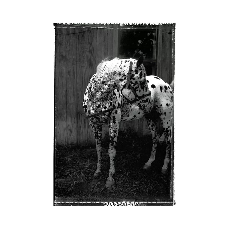 Print, Canvas, 20.32 cm H x 30.48 cm W