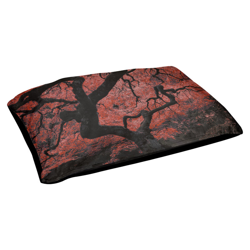 Coussin de designer de l’arbre d’érable japaneses Burkey, L 19,5 po x l 29,5 po, Rouge / Noir
