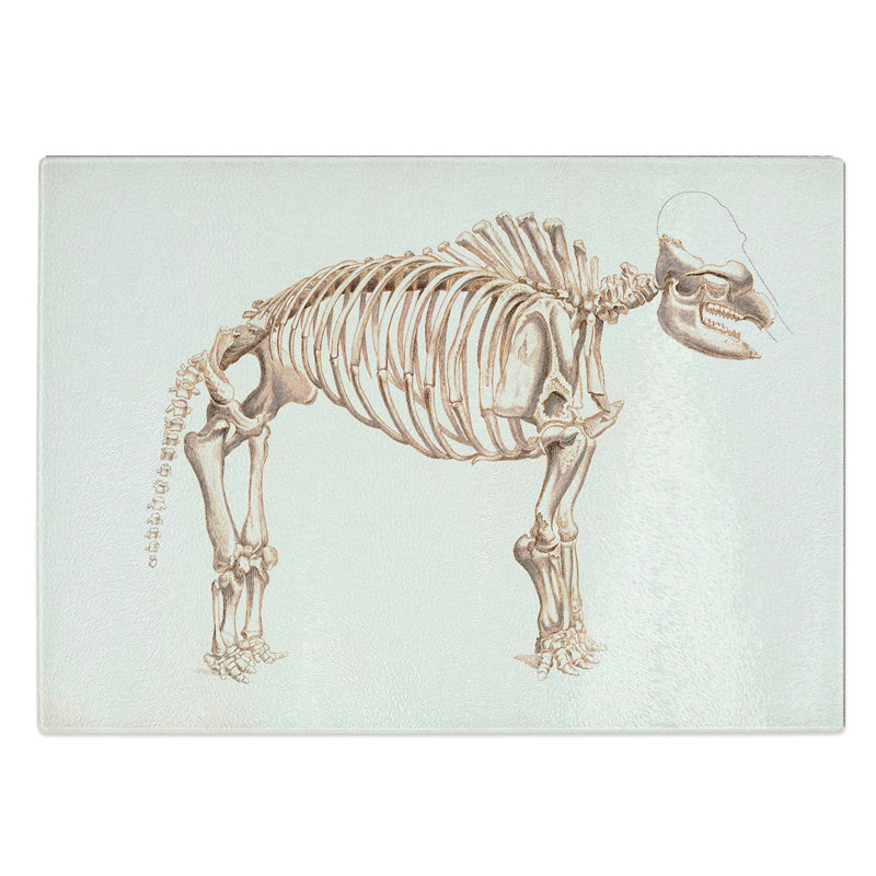 Glass Mammoth Skeleton by Charles D' Orbigny Chopping Board, 28.5 cm W x 20 cm L