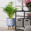 Geometric Patterned Cylinder Planter with Feet-350652353-350652381