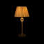 Pickering Lamp-1650875696-1650875698