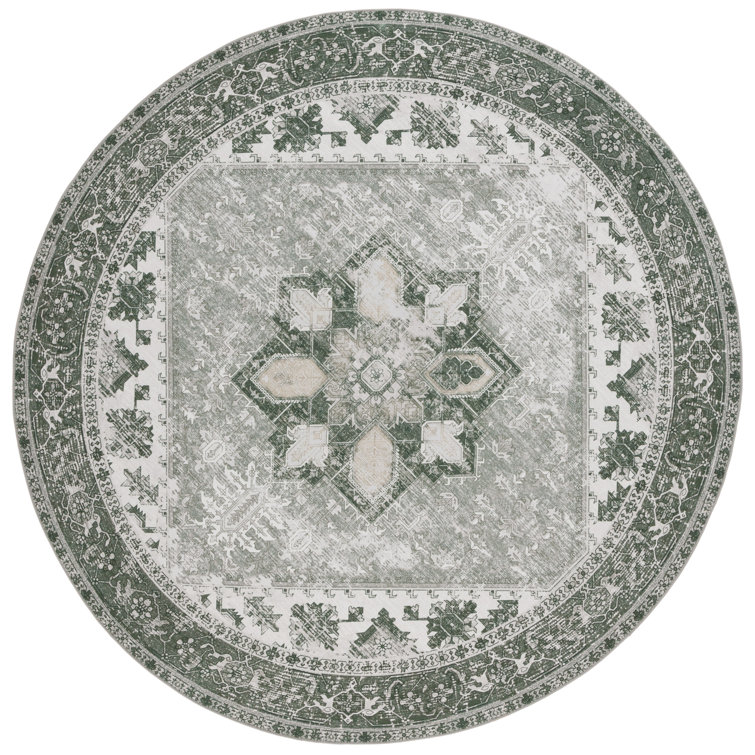 Tucson Vintage Look Machine Washable Non-Slip Area Rug in Green