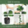 Artificial Fiddle Leaf Fig Tree - Fake Plant