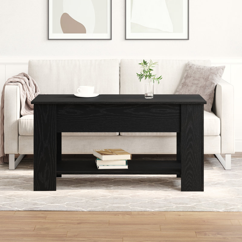 Lift Top Coffee Table with Storage, 65.50cm H x 49cm W x 101cm D