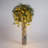 LED Twinkle Lighted Trees & Branches-778306656-778306661