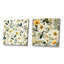 «Cheve - Abstract Botanicals», ensemble de 2 reproductions d'art sur toile-102579663-102579668