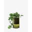 Balcony Round Glass Planter-1766314224
