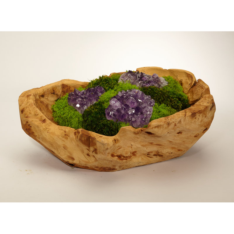 Moss Plant in Wood Planter