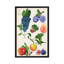«Fruit Collection II», impression sur toile-72791912-72791901-29176829