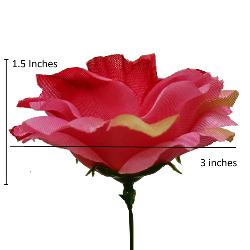 18 fleurs roses en pleine floraison, Rouge