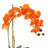 Polysilk Orchid Arrangement in Pot