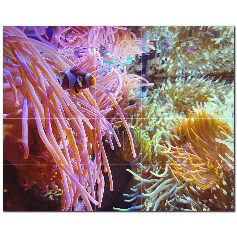 Murale en céramique satinée Coral Photo 8 po x 8 po